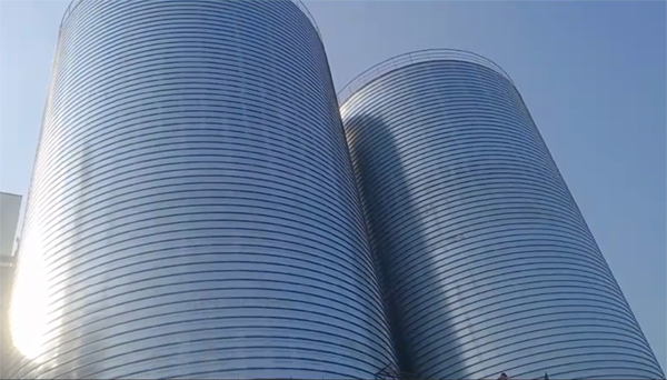 鄂托克前2座混凝土高架卷板仓